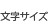文字サイズ