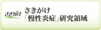 さきがけ「慢性炎症」研究領域